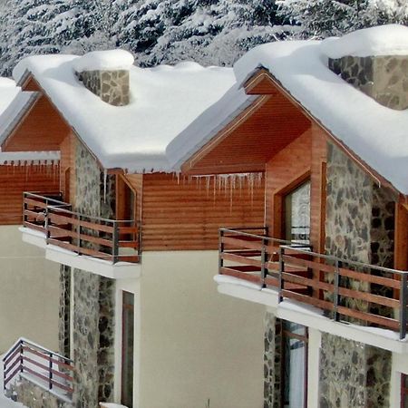 Villa Mtashi Bakuriani Exteriér fotografie