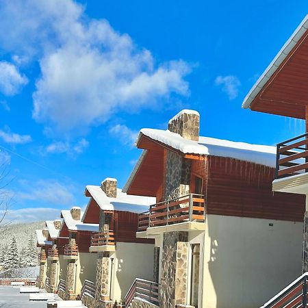 Villa Mtashi Bakuriani Exteriér fotografie