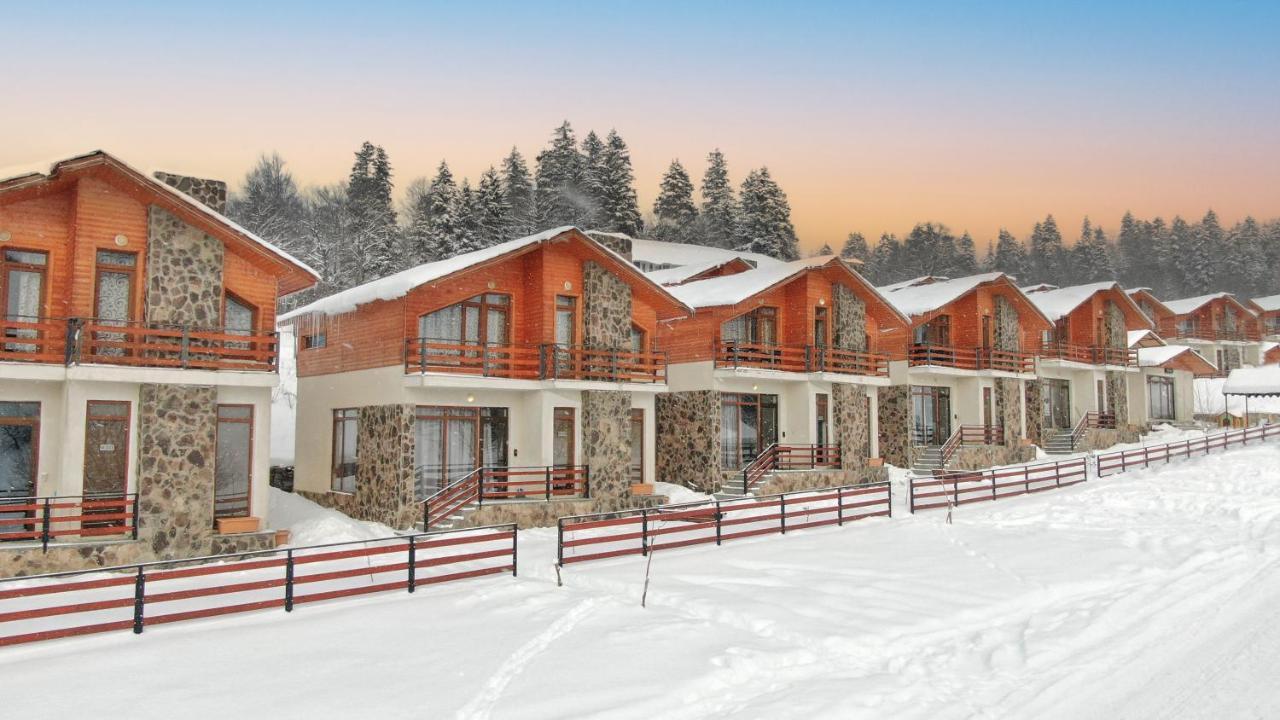 Villa Mtashi Bakuriani Exteriér fotografie