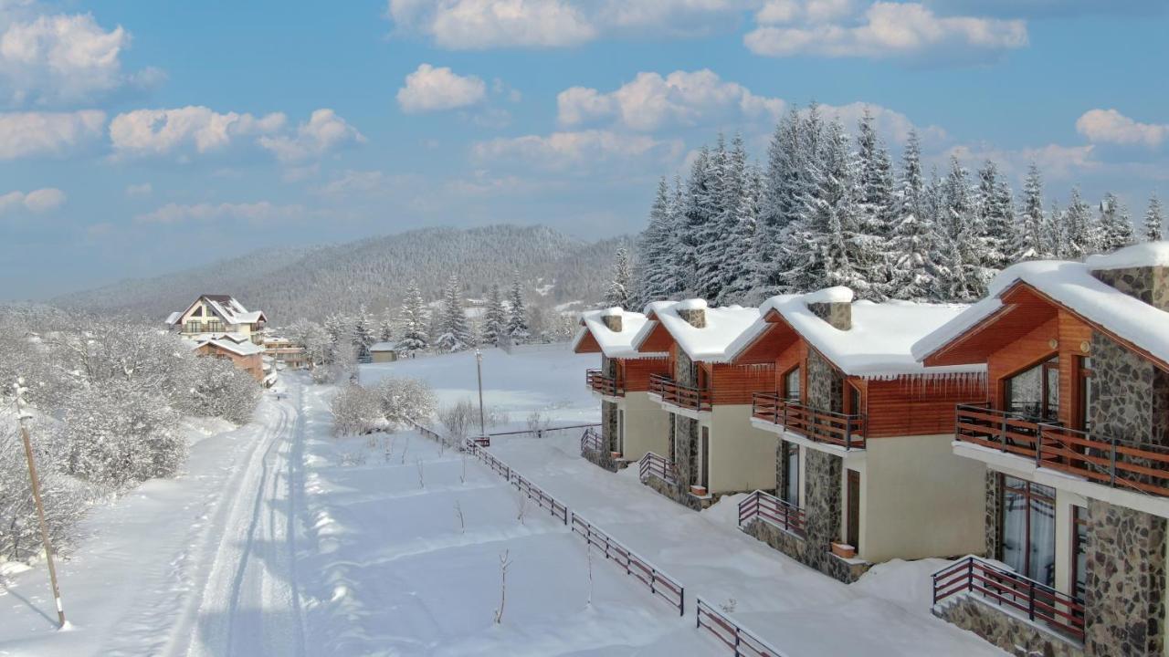 Villa Mtashi Bakuriani Exteriér fotografie