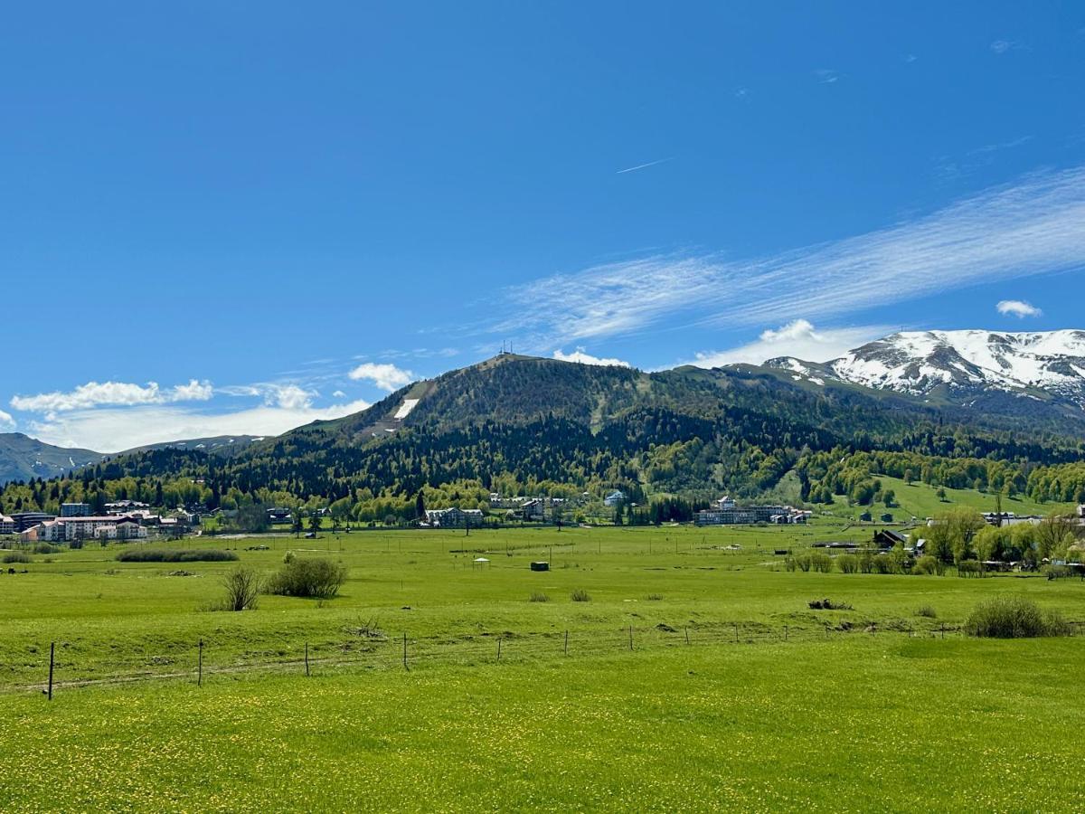 Villa Mtashi Bakuriani Exteriér fotografie