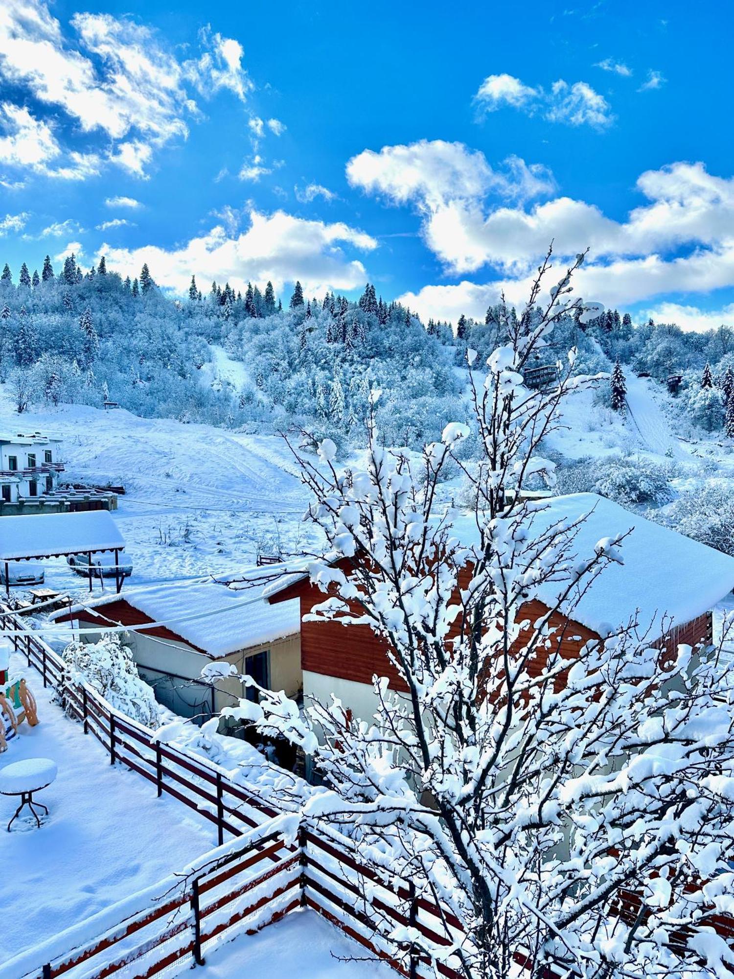 Villa Mtashi Bakuriani Exteriér fotografie