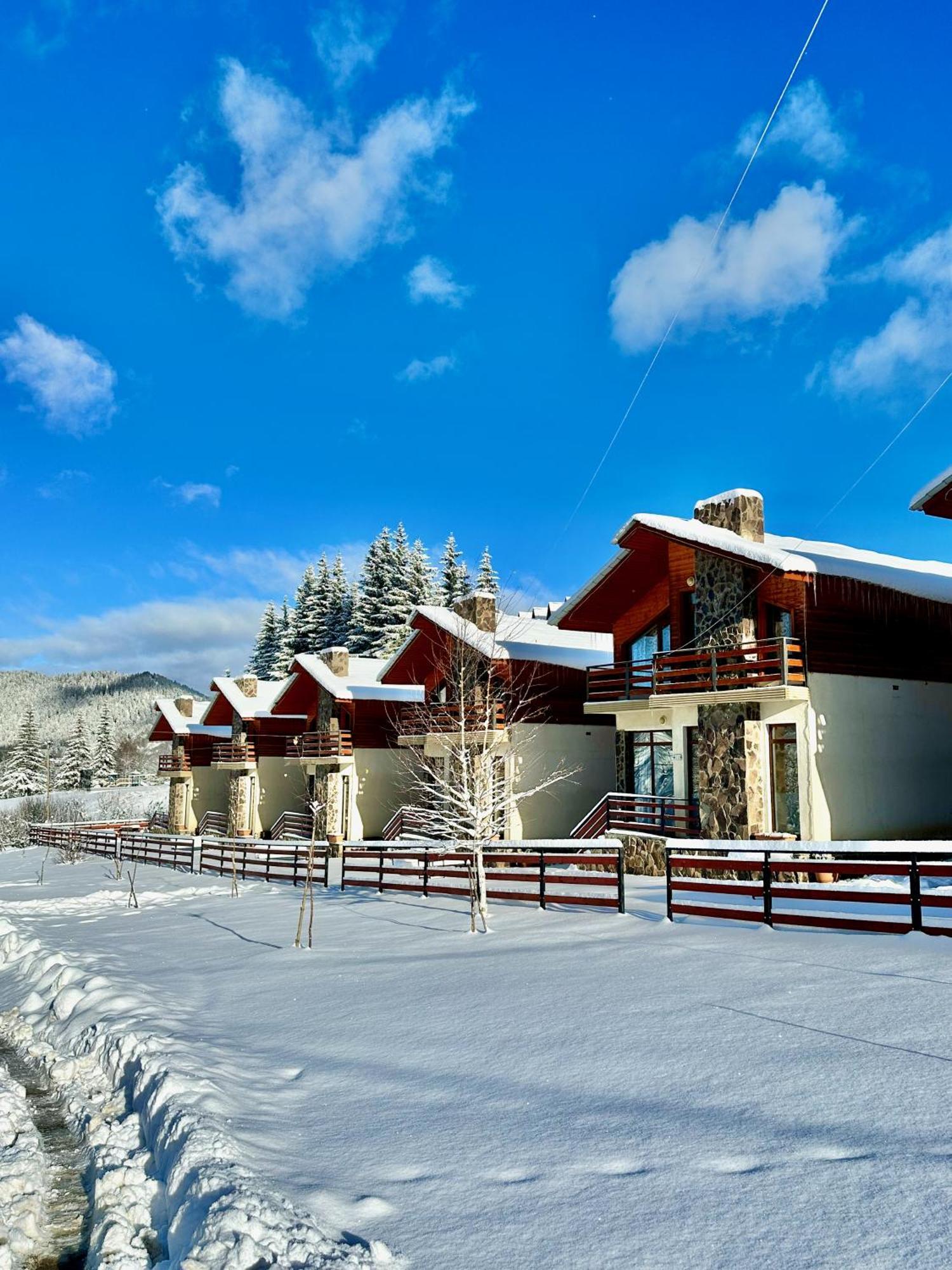 Villa Mtashi Bakuriani Exteriér fotografie