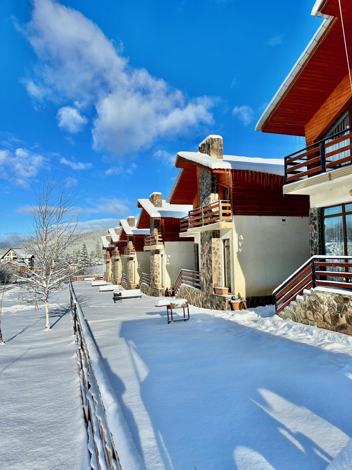 Villa Mtashi Bakuriani Exteriér fotografie