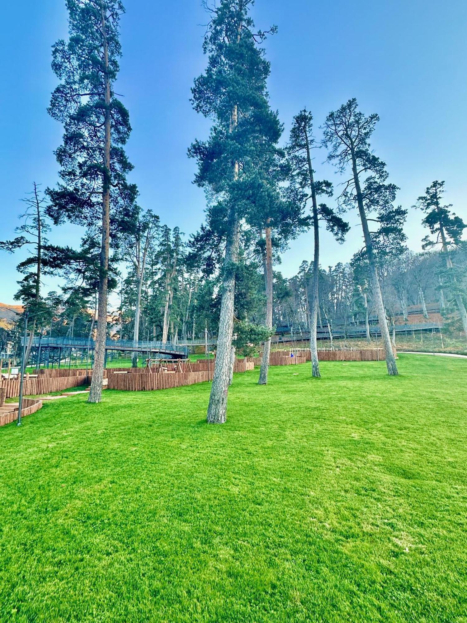Villa Mtashi Bakuriani Exteriér fotografie