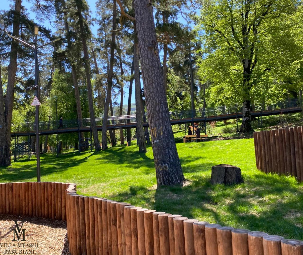 Villa Mtashi Bakuriani Exteriér fotografie