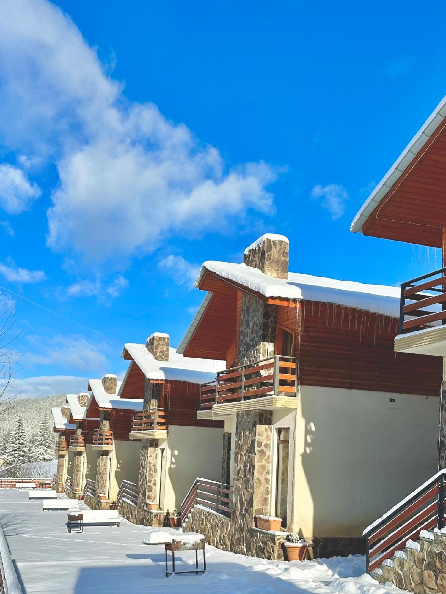 Villa Mtashi Bakuriani Exteriér fotografie