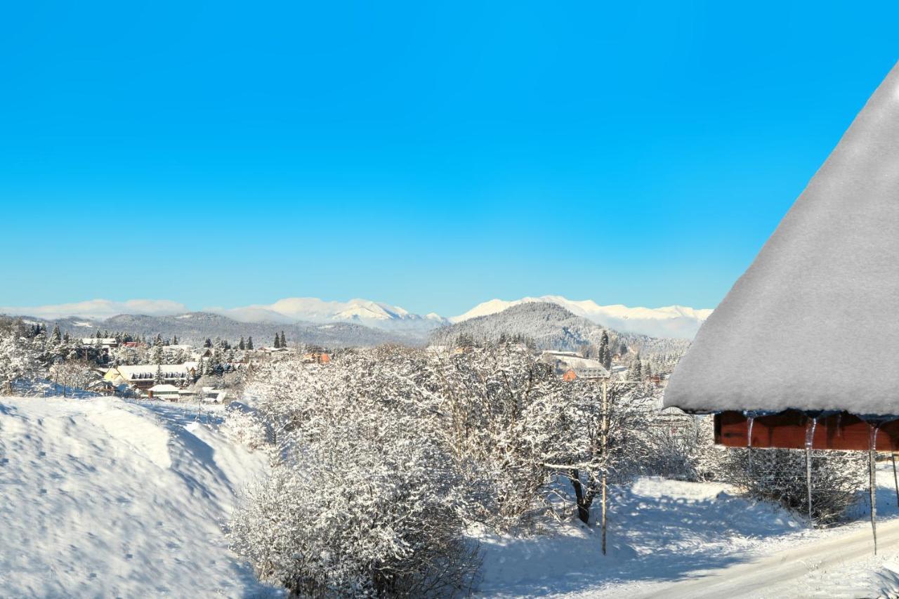 Villa Mtashi Bakuriani Exteriér fotografie
